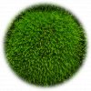 mehch kopeckovy ball moss svetle zeleny 1