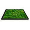 Mechovy obraz 60x40cm vypln kopeckovy mech svetly ram cerny tenký 4x1,5cm (3)