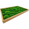 Mechovy obraz 60x40cm kopeckovy mech svetly ram dub tenký 4x1,5cm 3