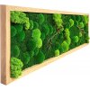 Mechovy obraz 140x40cm mix mechu ram dub 4x3cm 3aaa