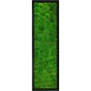 mechovy obraz 140x40 kopeckovy svetle zeleny 4x3ram cerny 2