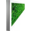 mechovy obraz 140x40cm kopeckovy svetly mech bily ram 4x3cm (3)