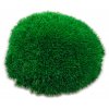 dark moss kopeckovy mech tmave zeleny mechcentrum 1900g 0.6m2 2