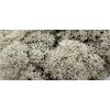 469 4 sobi mech finsky polarmoss reindeer moss 5kg barva prirodni natural v kartonu