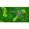 R1CZM136X56MIX KED4 1
