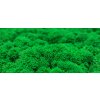 511 5 mechovy obraz kulaty prumer 50cm sobi mech apple green dreveny ram barva natural