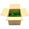 571 6 kopeckovy mech ball moss barva svetle zelena 300g pokryti plochy 0 12m2 v kartonu