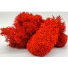 592 3 sobi mech finsky polarmoss reindeer moss 500g barva cervena red v kartonu