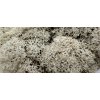 598 5 sobi mech finsky polarmoss reindeer moss 1kg barva prirodni natural v kartonu