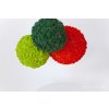 613 5 sobi mech finsky polarmoss reindeer moss 1kg barva zelena leaf green v kartonu