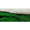 559 8 stabilizovana perova travina ming bila kremova