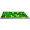 882 3 obraz 136x56cm vypln kombinace kopeckovy mech 3 barev plochy mech ram sedy tenky