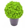 may green Mechcentrum mechové koule3