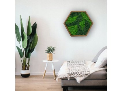 Dvoubarevny mechovy obraz sestiuhelnik Sirka vyrobku 26 cm