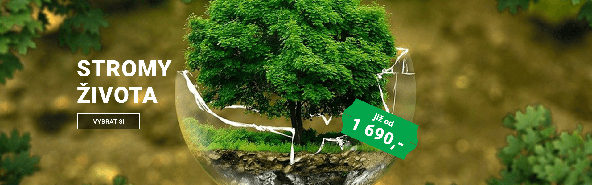 Stromy života