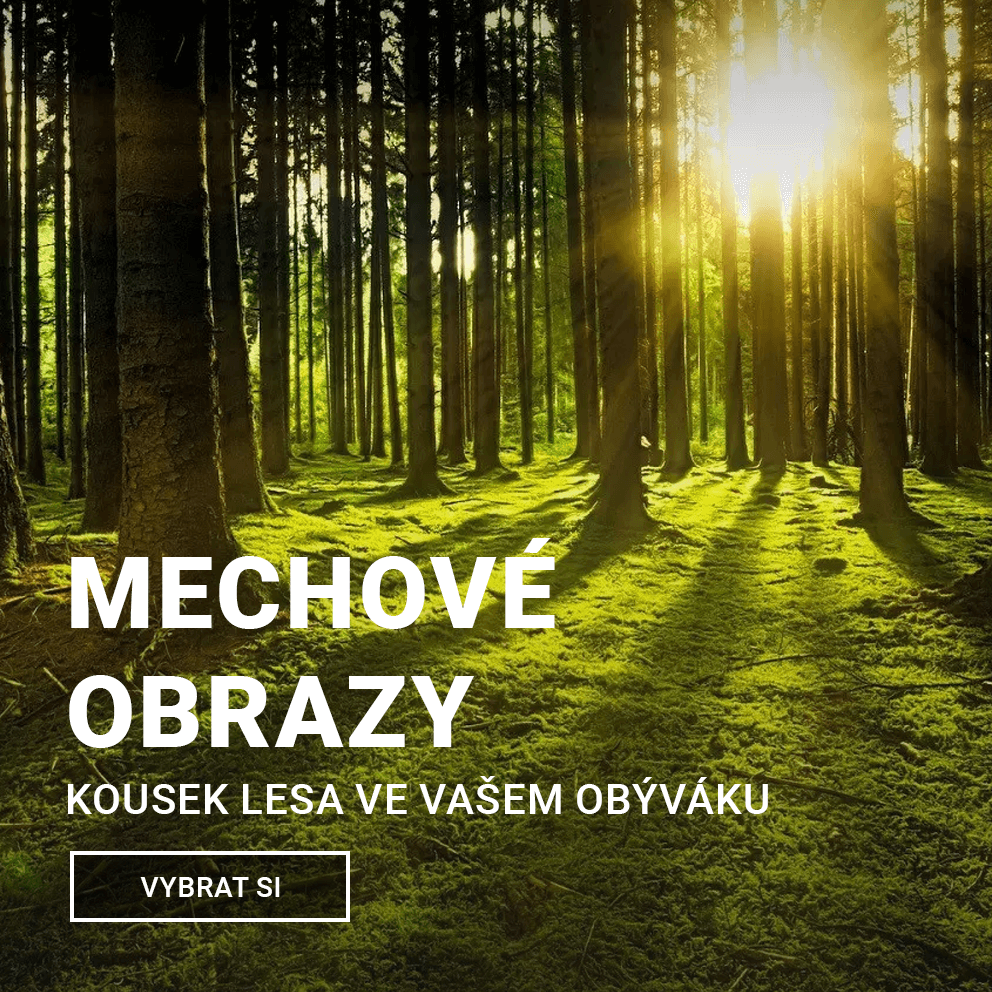 mechový obraz