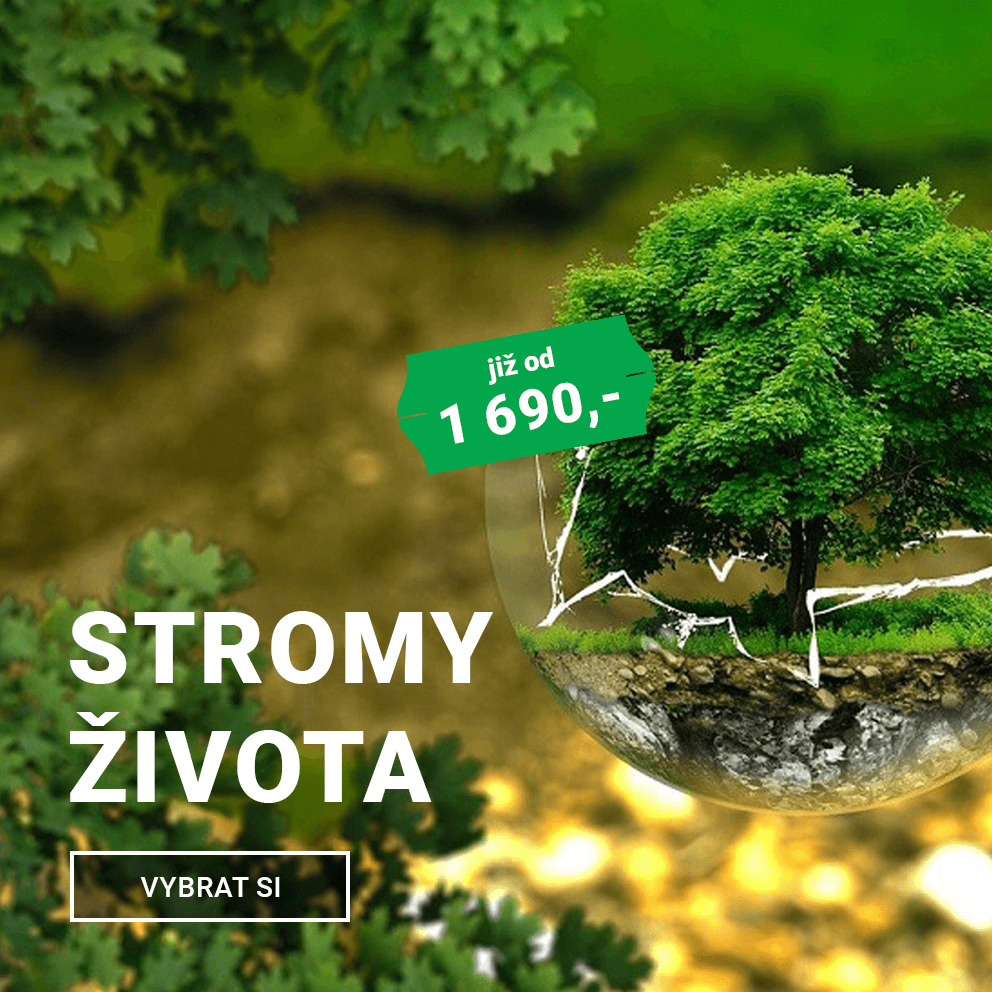 Stromy života