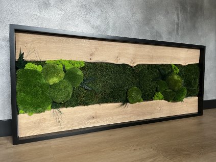 Mechový obraz s dubovým dřevem 120x50