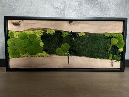 Mechový obraz s dubovým dřevem 100x45