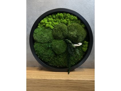 Mechový obraz kulatý 40cm