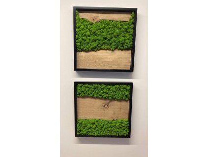 5A7365E0 94B4 480A ADEC 99CE373EE54F