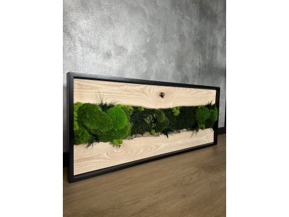 Mechový obraz 120x50cm s dubovým dřevem