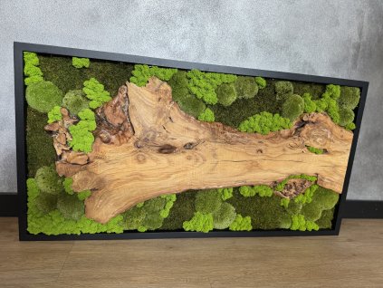 Mechový obraz s olivovým dřevem a hliníkovým rámem 100x50 cm