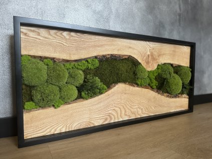 Mechový obraz s dubovým dřevem 100x45 cm