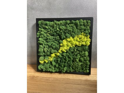 Mechový obraz 40x40cm z lišejníku