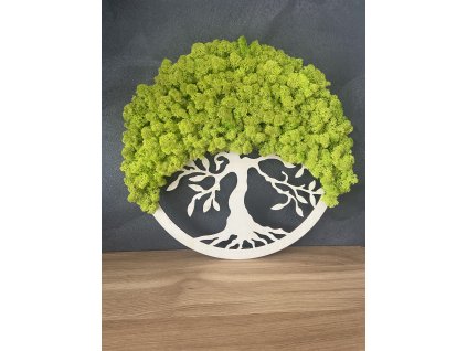 Strom života 40 cm - přírodní dřevo