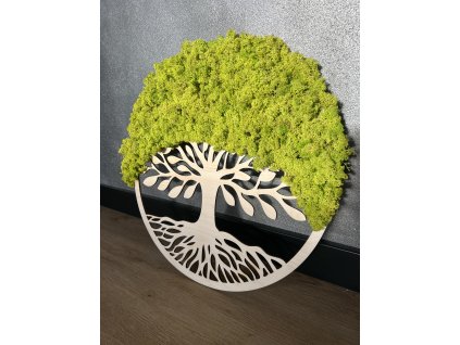 Strom života 50 cm - limetkový mech