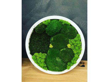 C985C6A5 704D 4C1B B7DD 49714100842E