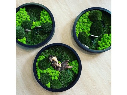 08AC64A0 95E6 4B0A A822 C658A730C817