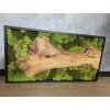 Mechový obraz s olivovým dřevem a hliníkovým rámem 100x50 cm