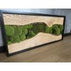 Mechový obraz s dubovým dřevem 100x45 cm