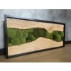 Mechový obraz s dubovým dřevem 100x45 cm
