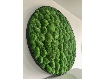 Mechový obraz, kulatý mechový obraz, obraz z mechu, mechové-obrazy.cz