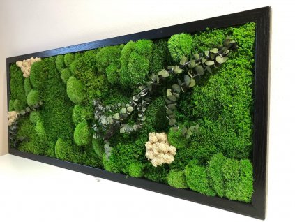 Mechový obraz, obraz z mechu, mechové-obrazy.cz, mech