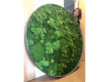Mechový obraz, kulatý mechový obraz, obraz z mechu, mechové-obrazy.cz, svítící obraz, LED obraz