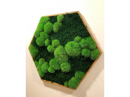 Hexagon, Mechový obraz, hexagon mechový obraz, obraz z mechu, mechové-obrazy.cz