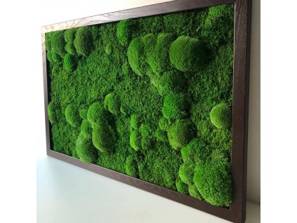 mech, mechový obraz, obraz z mechu, mechove obrazy