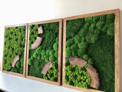 Mechový obraz, obraz z mechu, mechové-obrazy.cz, mech