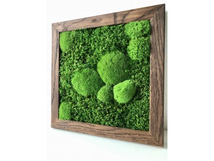 Mechový obraz, obraz z mechu, mechové-obrazy.cz, mech