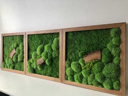 Mechový obraz, obraz z mechu, mechové-obrazy.cz, mech, triptych