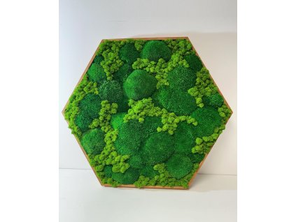 Hexagon, Mechový obraz, hexagon mechový obraz, obraz z mechu, mechové-obrazy.cz