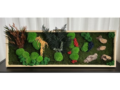 Obdélník 120x40cm se stabilizovanými rostlinami