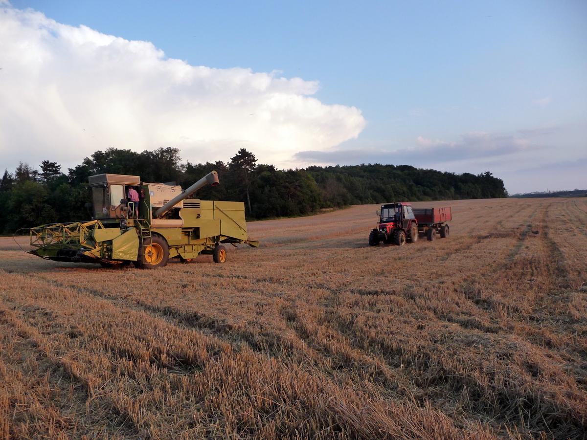 Zemědělská výroba