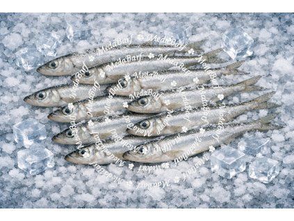 copilot image 1774034248861