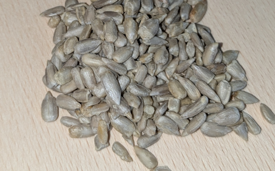 Slunečnicová semínka a vitamin E