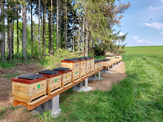 Včelí úly na Vysočině